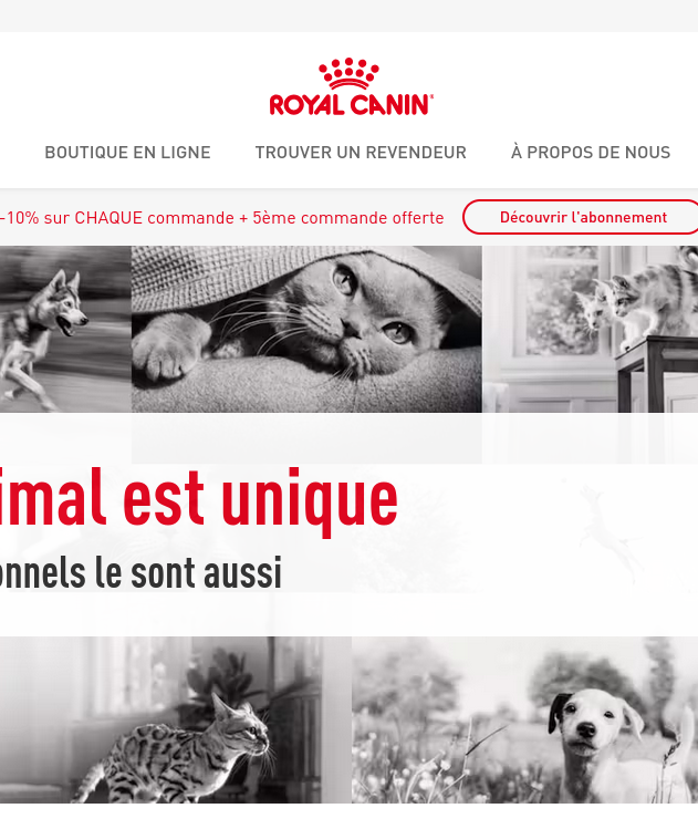 Royal Canin